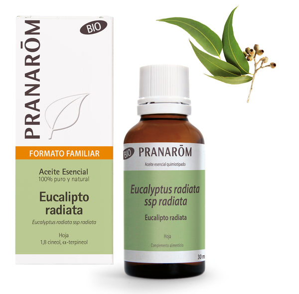 15628-es-aceite-esencial-eucalipto-radiata-bio-30-ml-pranarom-01.jpg