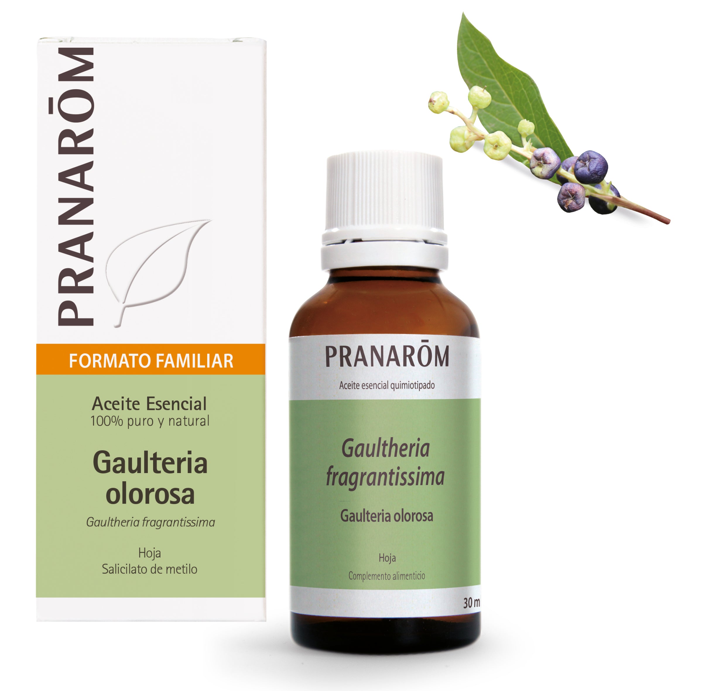 15632-es21-aceite-esencial-gaulteria-olorosa-30-ml-pranarom-01.jpg