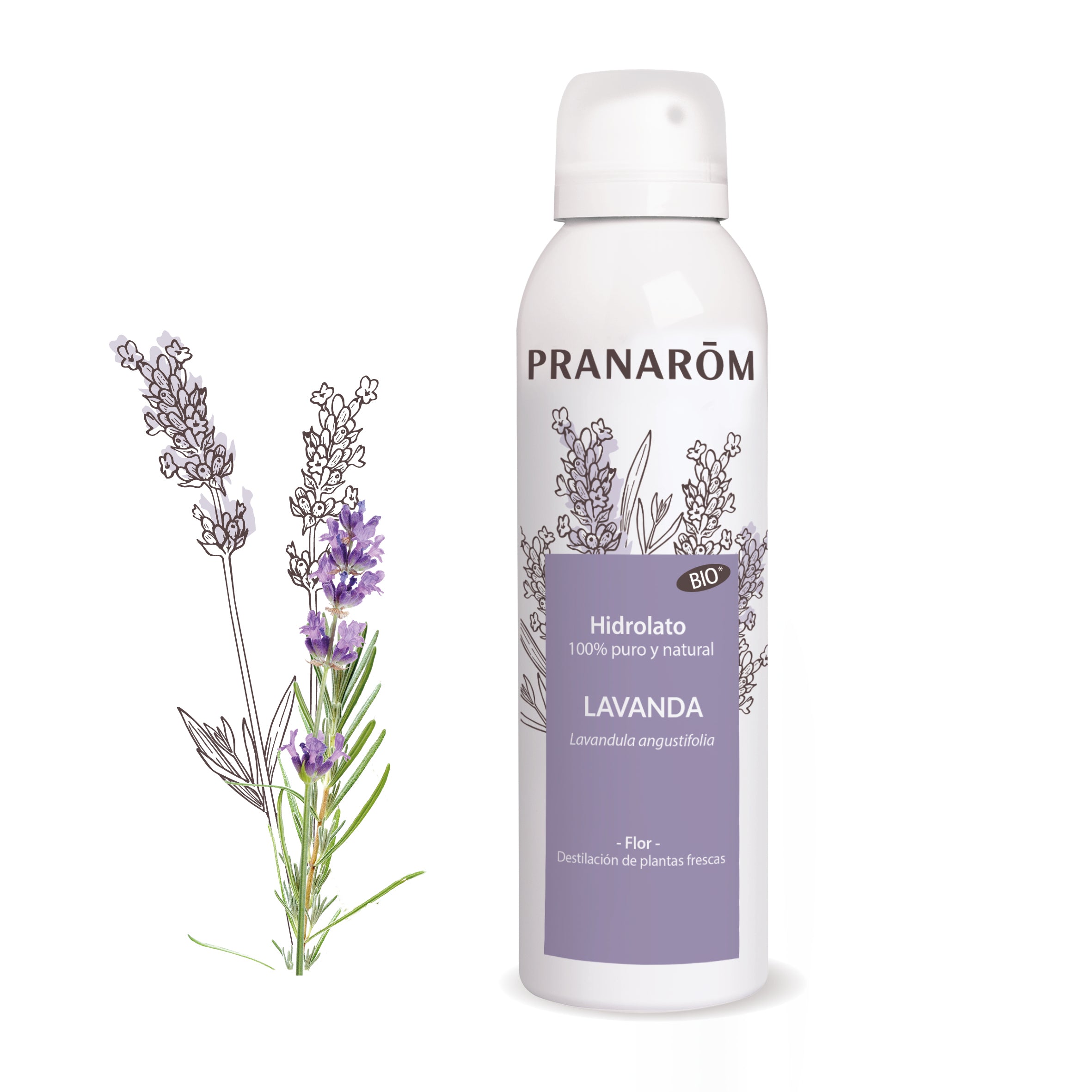 15872-es-hidrolato-lavanda-bio-150ml-pranarom-01.jpg