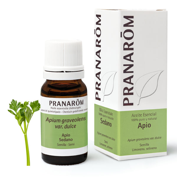 15936-ae-esit20-apio-sedano-10ml-pranarom-01.jpg