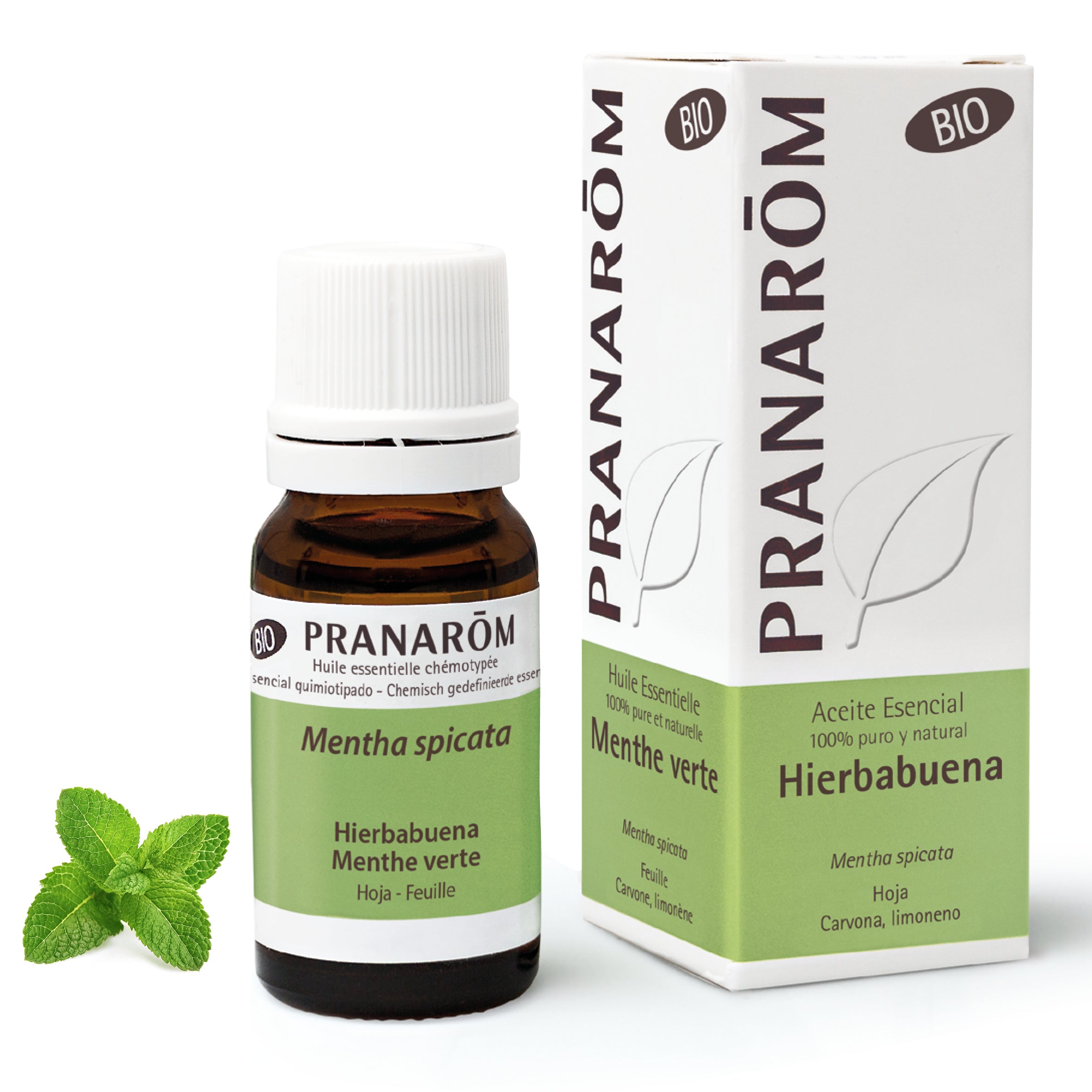 16233-aebio-esfr20-hierbabuena-menthe-10ml-pranarom-01.jpg