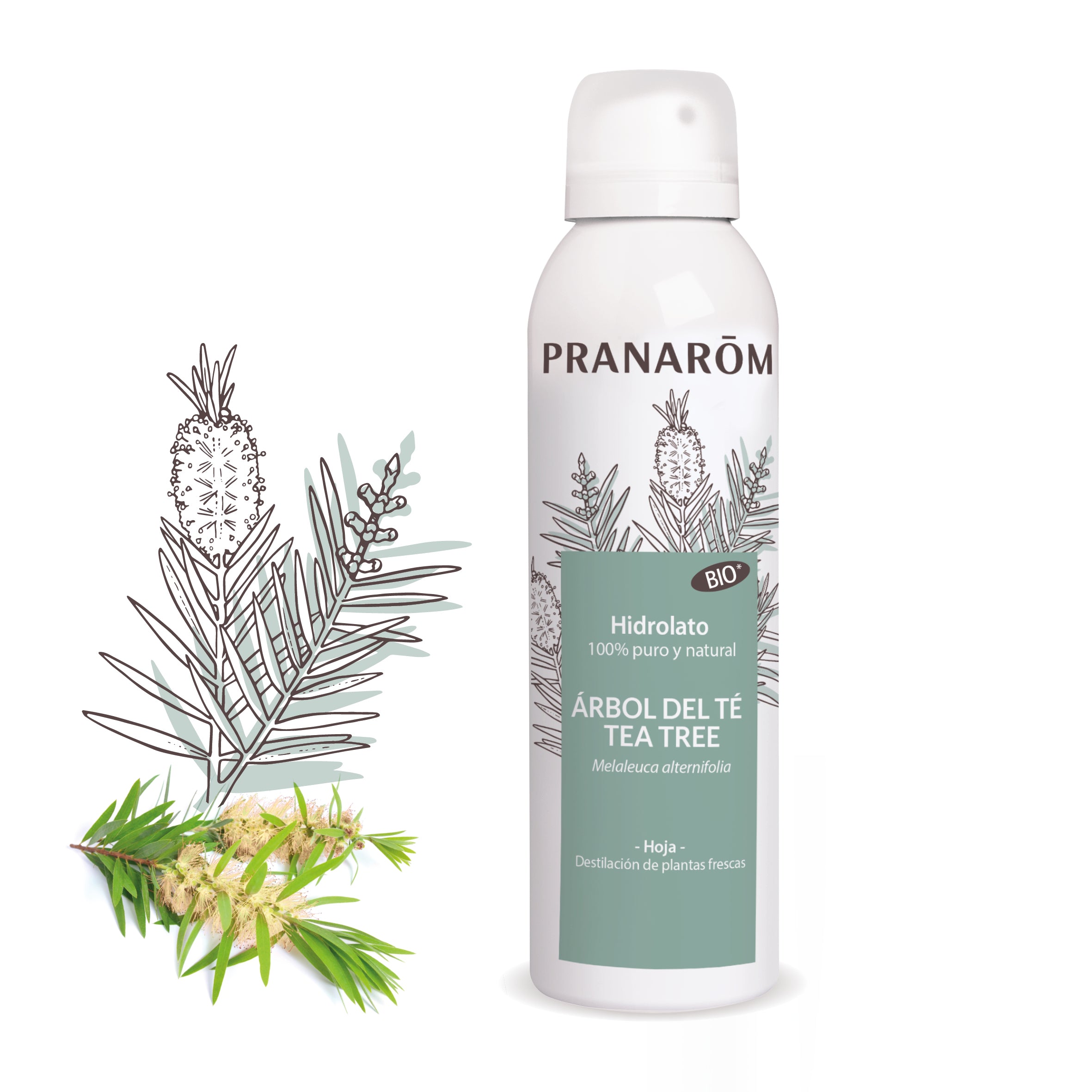 18160-es-hidrolato-arbol-del-te-bio-150ml-pranarom-01.jpg