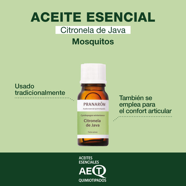 229-citronela-de-java-partes-aereas-pranarom-10ml-es24-5420008502293-02.jpg