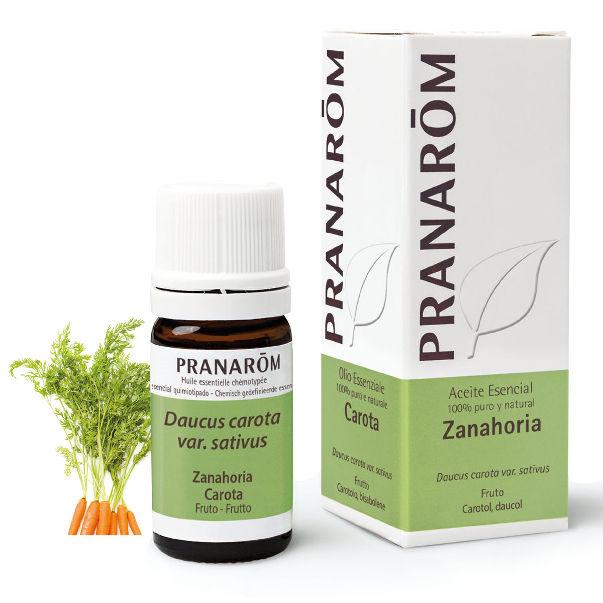 232-ae-esit20-zanahoria-carota-fruto-frutto-5ml-pranarom-01.jpg