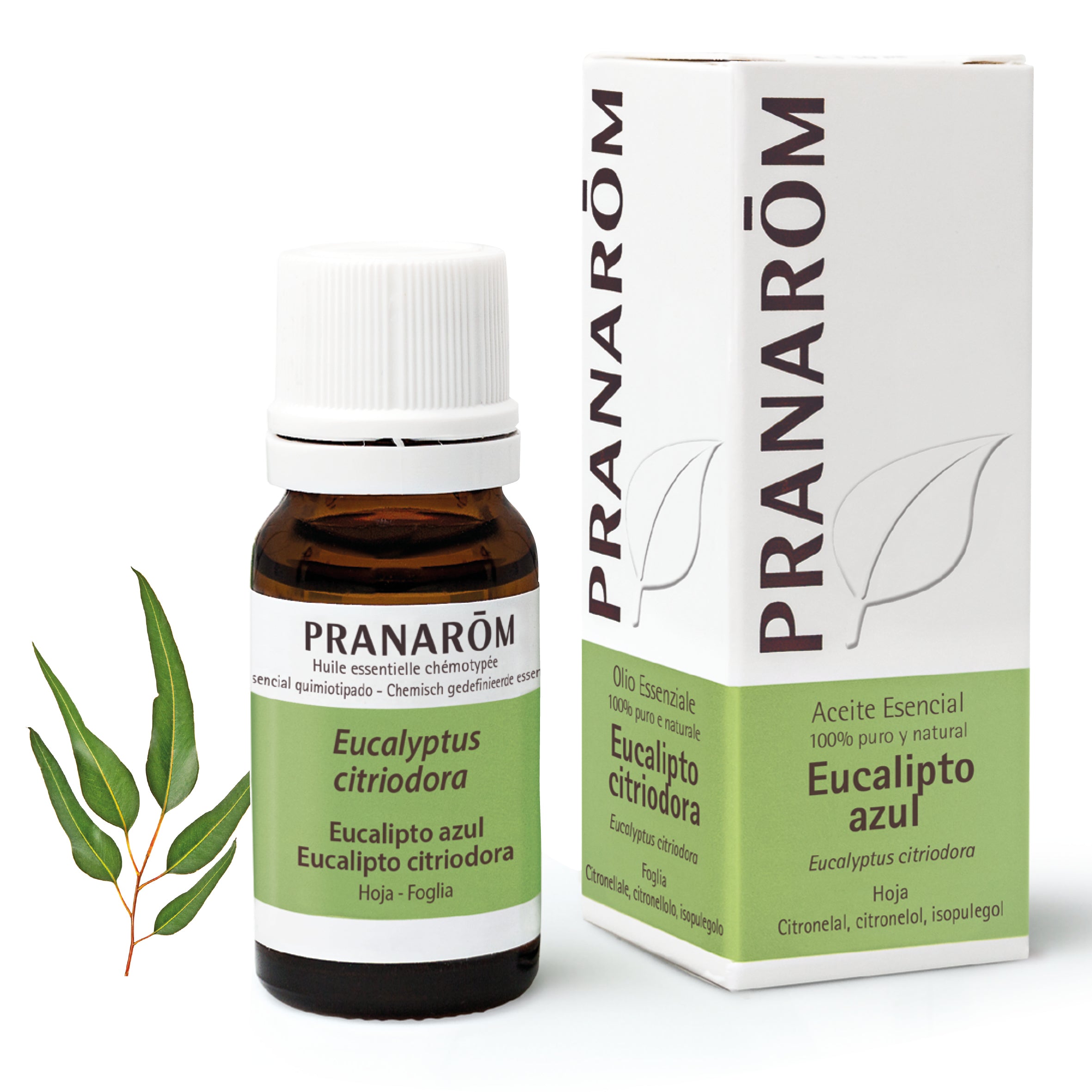 240-ae-esfr20-eucalipto-azul-eucalyptus-citronne-10ml-pranarom-01.jpg