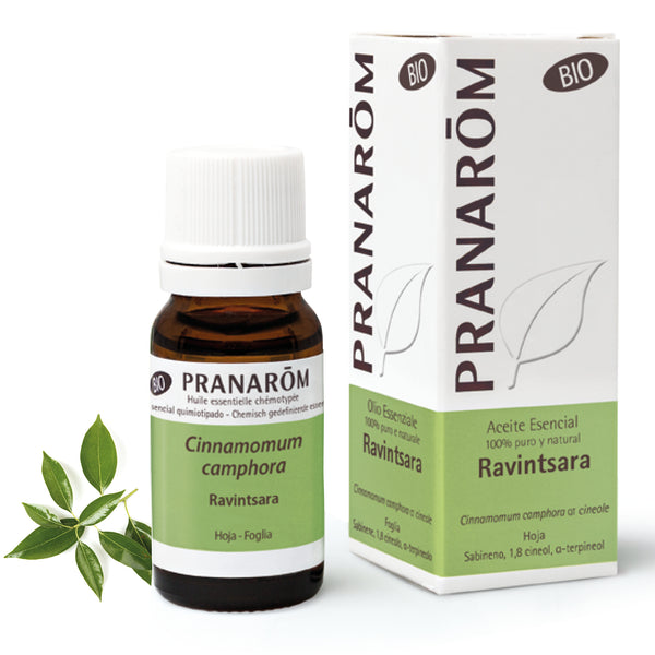 2440-aebio-esit20-ravintsara-10ml-pranarom-01.jpg