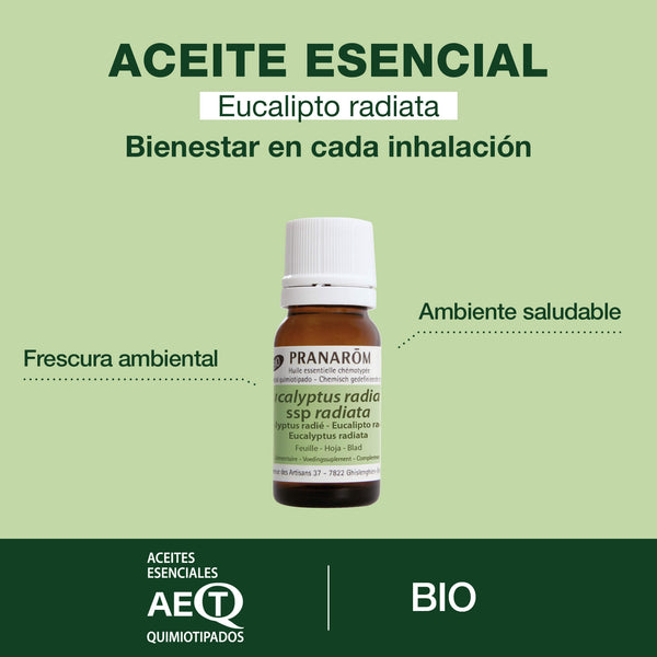 2453-eucalipto-radiata-hoja-bio-pranarom-10ml-es24-5420008524530-02.jpg