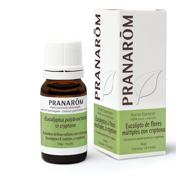 2748-ae-esfr21-eucalypto-eucalyptus-cryptone-10ml-pranarom-01.jpg