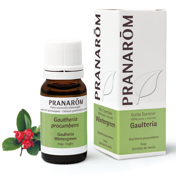 281-ae-esit20-gaulteria-wintergreen-10ml-pranarom-01.jpg