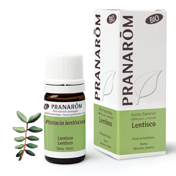 3209-aebio-esit20-lentisco-lentisco-pranarom-01.jpg