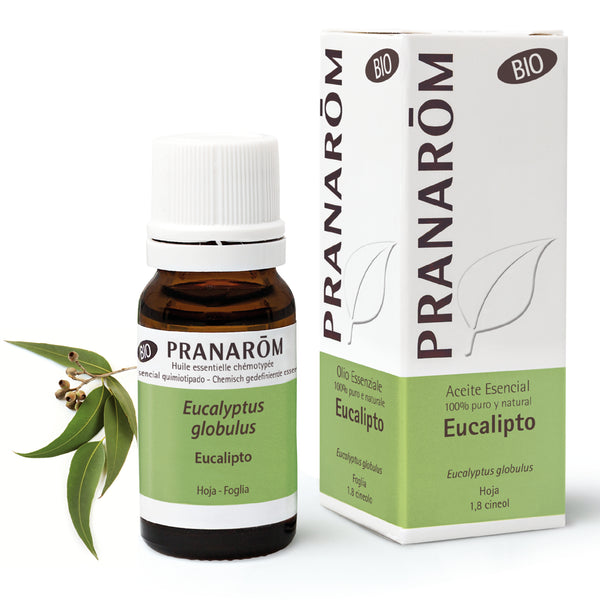 3541-aebio-esit20-eucalipto-10ml-pranarom-01.jpg