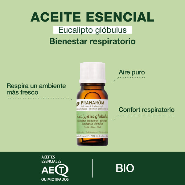 3541-eucalipto-hoja-bio-pranarom-10ml-es24-5420008524448-02.jpg