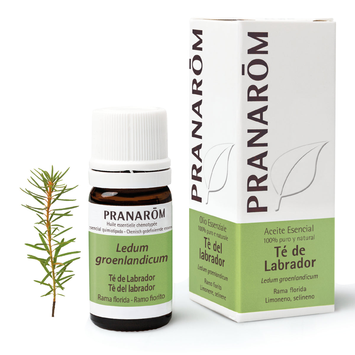 6143-ae-esit20-te-de-labrador-te-del-labrador-5ml-pranarom-01.jpg