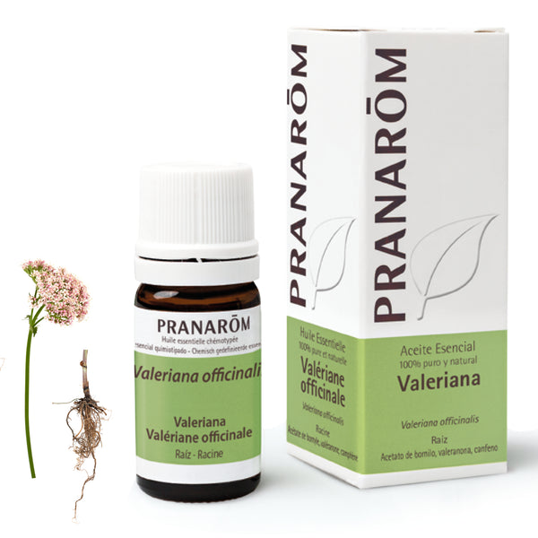 644-ae-esfr20-valeriana-valeriane-5ml-pranarom-01.jpg