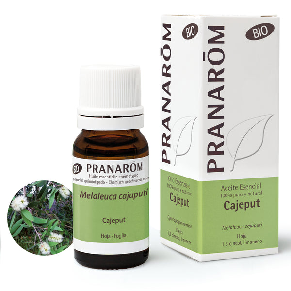 7382-aebio-esit22-cajeput-10ml-pranarom-01.jpg