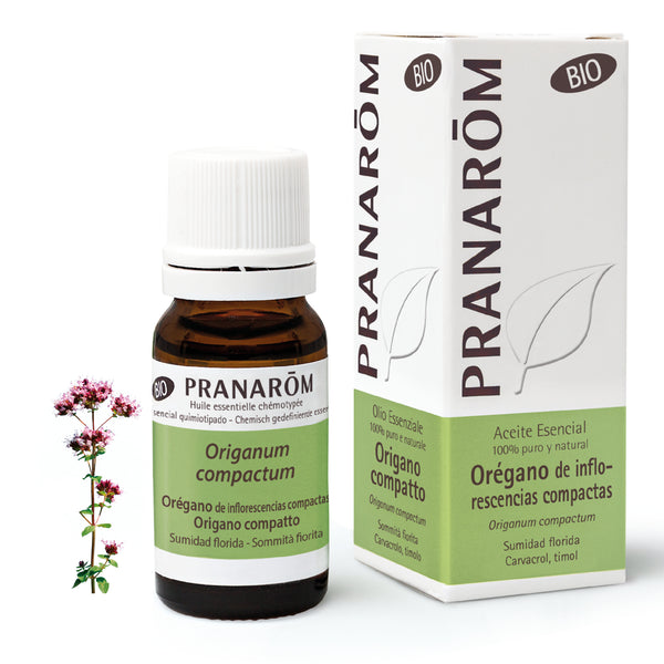 7441-aebio-esit20-oregano-origano-compatto-10ml-pranarom-01.jpg