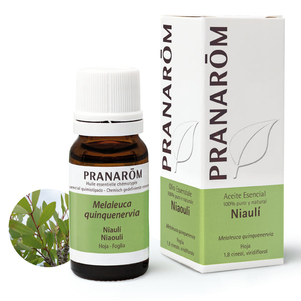 75-ae-esit20-niauli-10ml-pranarom-01.jpg