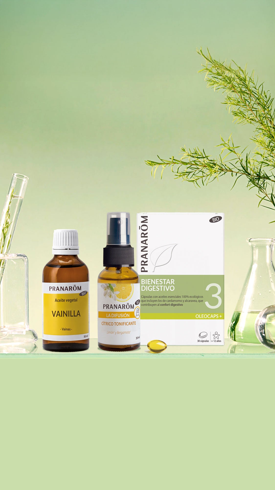 Pranar m Aceites Esenciales Y Aromaterapia Pranar m pranar-m-aceites-esenciales-y-aromaterapia-pranar-m