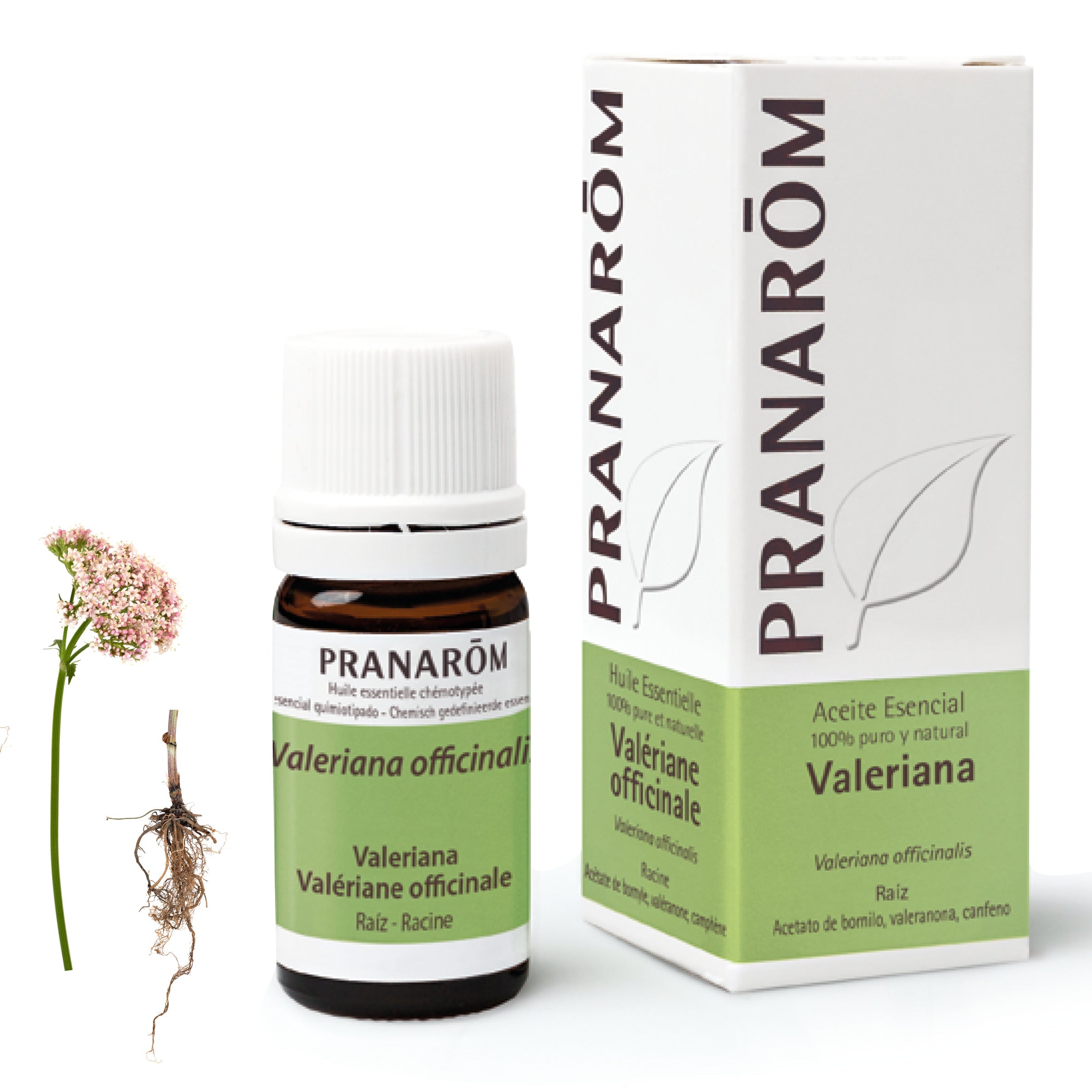 Aceite Esencial Valeriana 5 ml