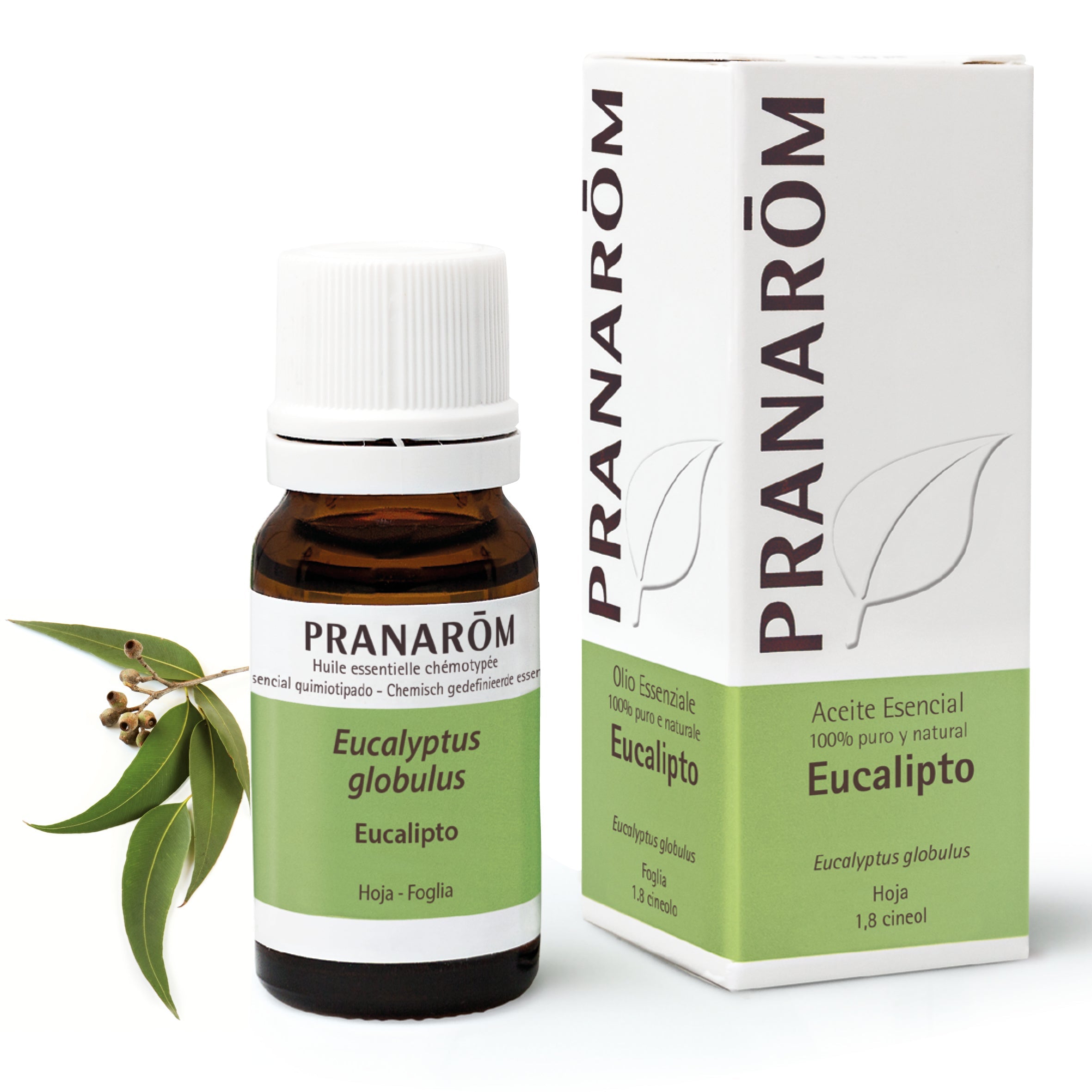 Aceite Esencial Eucalipto 10 ml