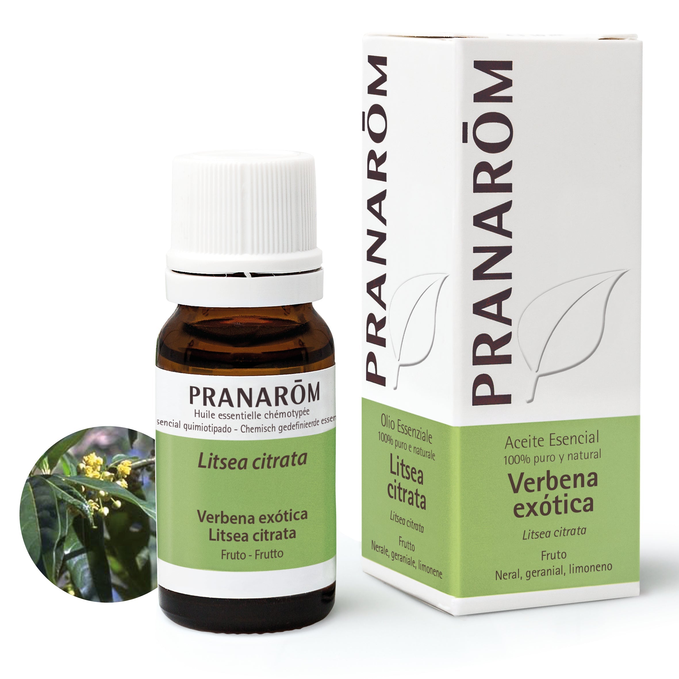Aceite Esencial Verbena Exótica 10 ml