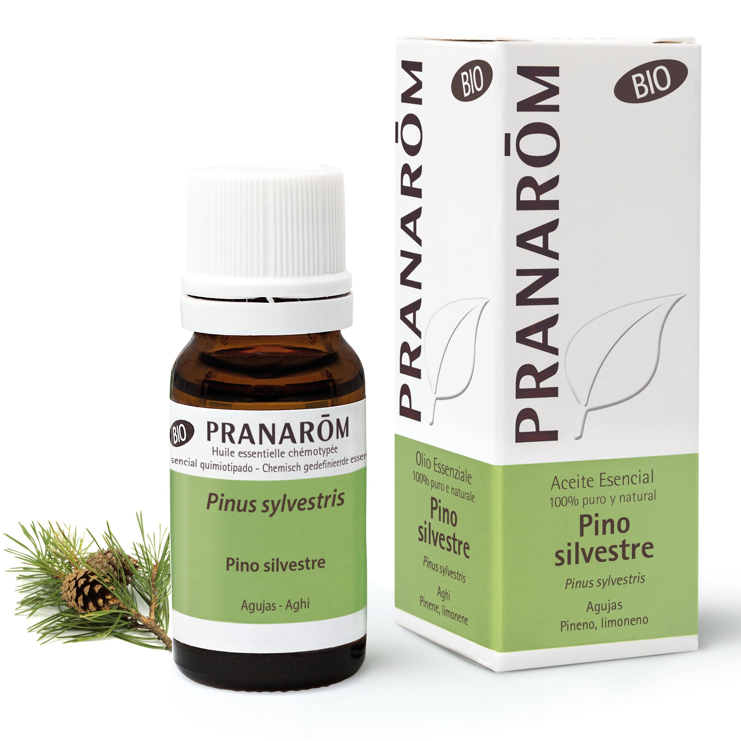 Aceite Esencial Pino Silvestre 10 ml - Bio