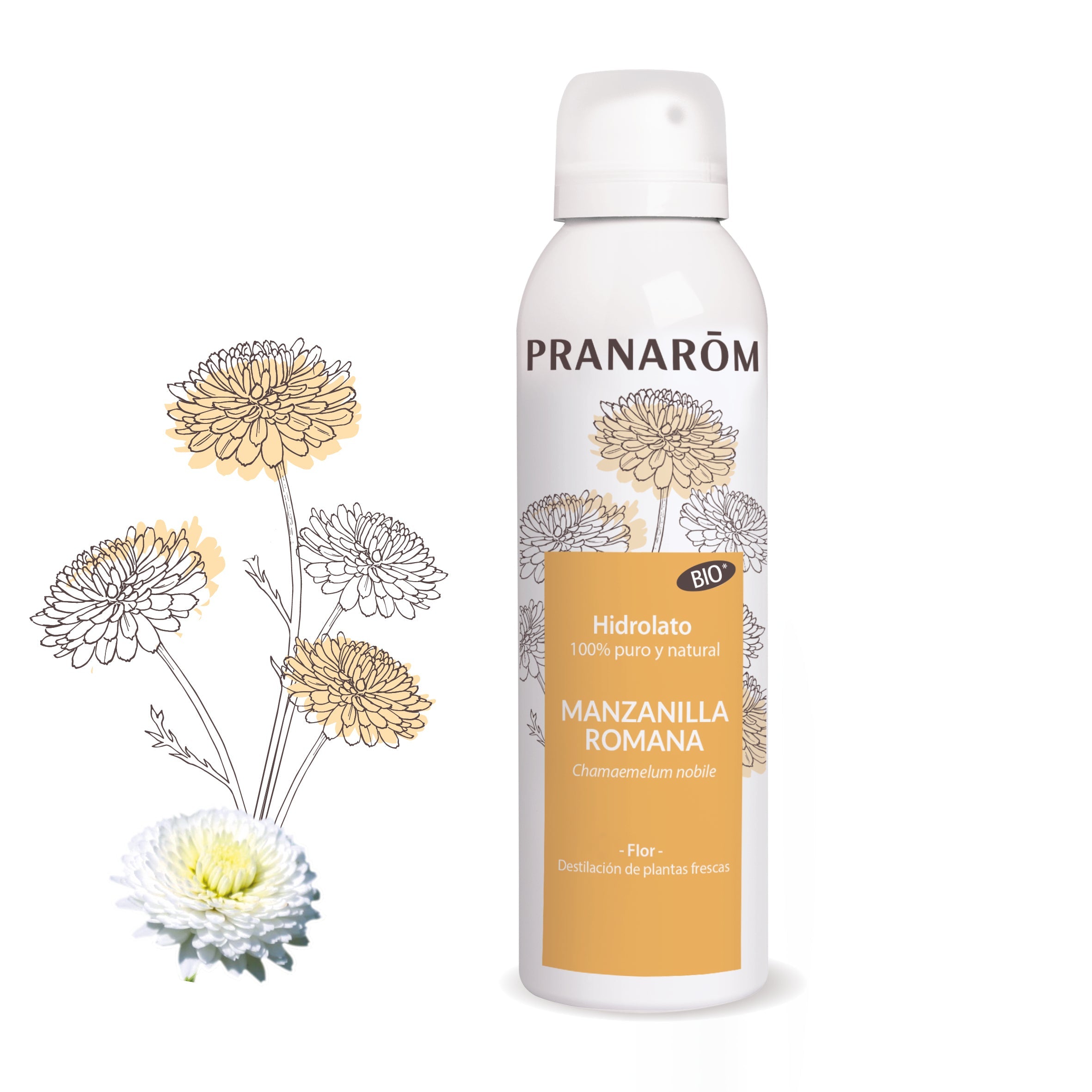 Manzanilla Romana - Bio