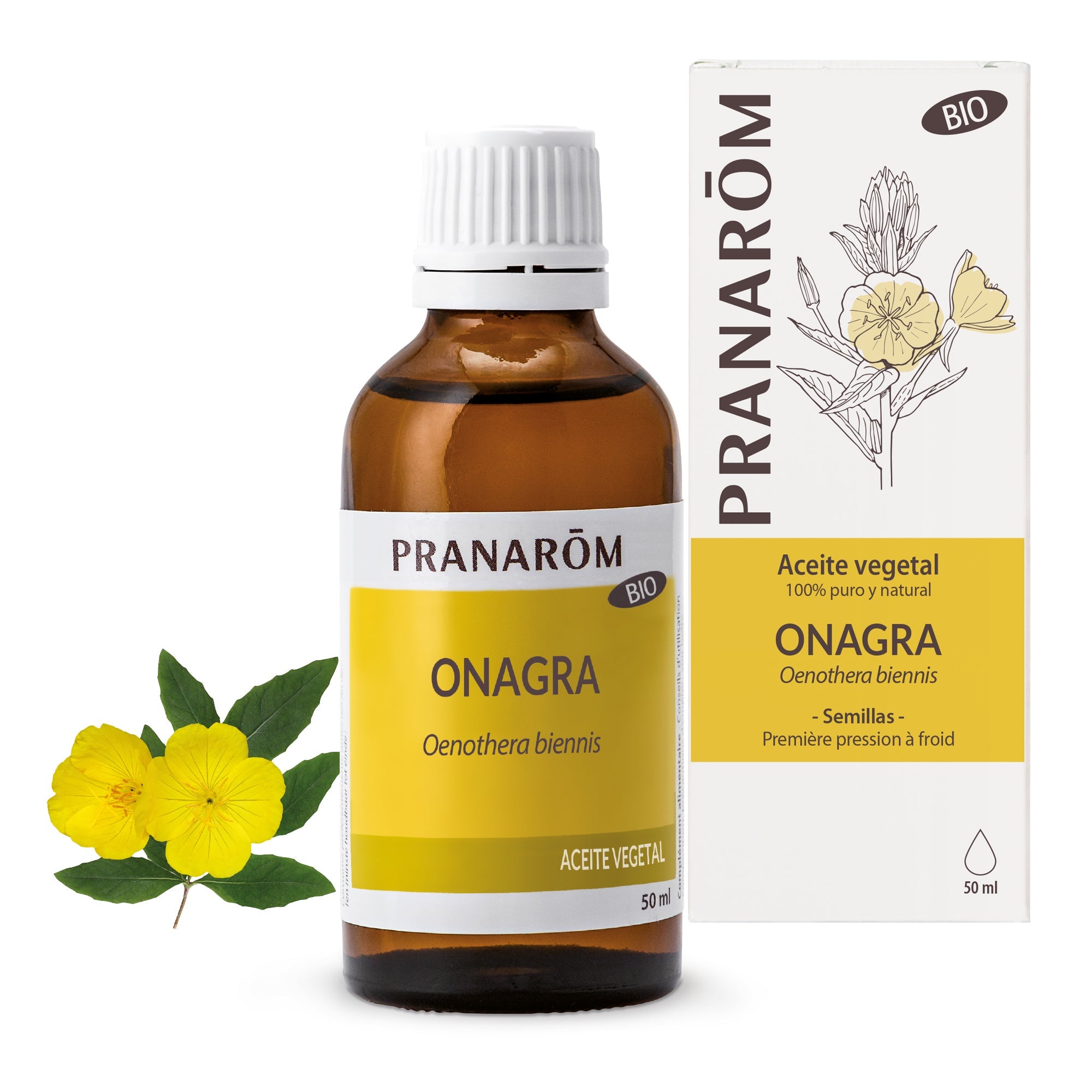 Aceite Vegetal Onagra 50 ml - Bio